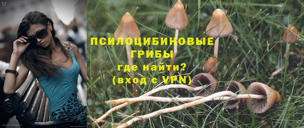 прущие крисы Дмитриев
