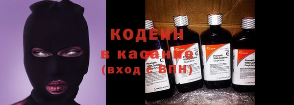 амф Ельня