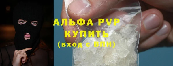 амф Ельня