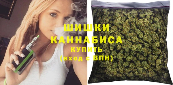 амф Ельня