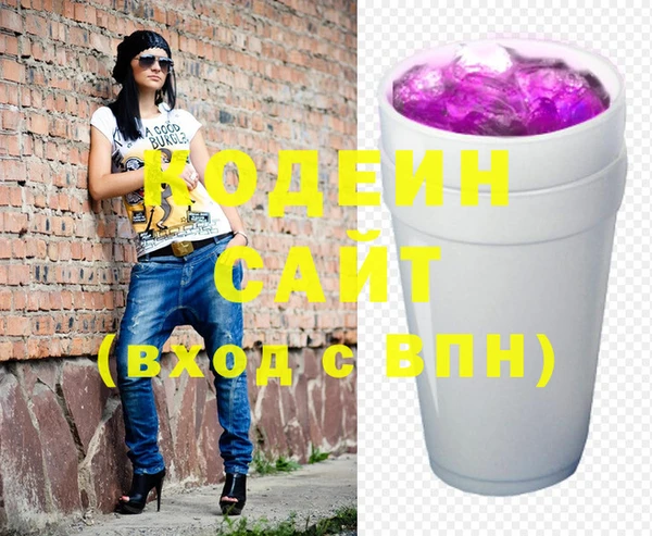 амф Ельня