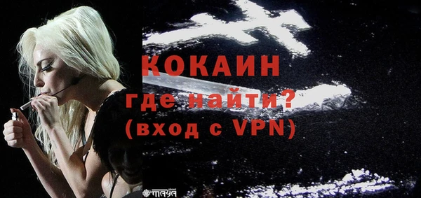 амф Ельня