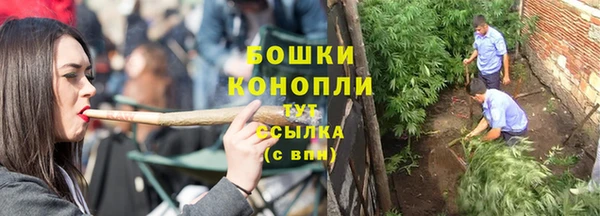 амф Ельня