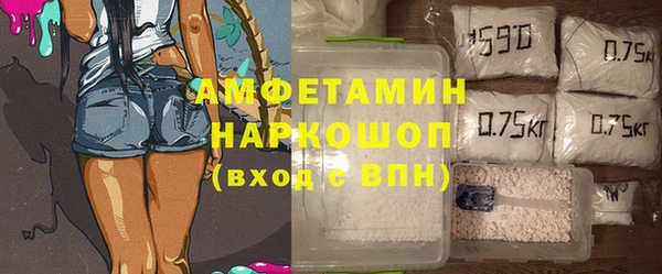 амф Ельня