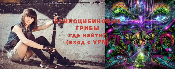 прущие крисы Дмитриев