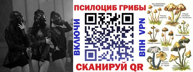 Галлюциногенные грибы GOLDEN TEACHER  даркнет сайт  Перевоз 
